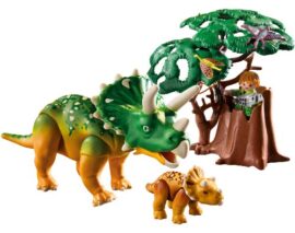 Playmobil-5234-Jeu-de-Construction-Tricratops-et-son-Petit-avec-Arbre-0-1