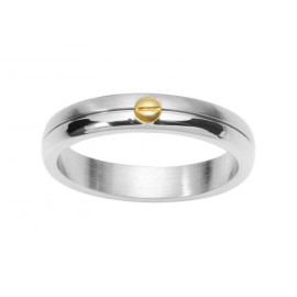 Phebus – 14/0008 – Bague Homme – Acier inoxydable – Poli/Brossé – Une Vis – Or Phebus – 14/0008 – Bague Homme – Acier inoxydable – Poli/Brossé – Une Vis – Or 2