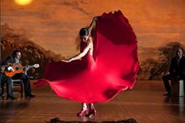 Flamenco-Flamenco-dition-Collector-0-0