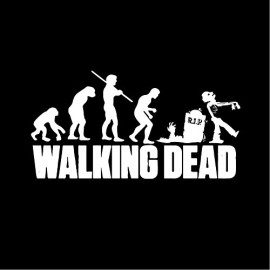 Sweat a Capuche WALKING DEAD Noir Sweat a Capuche WALKING DEAD Noir 3