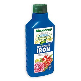 Maxicrop Engrais Plus séquestrer Fer avec naturel extraits d’algues marines 500 ml Maxicrop Engrais Plus séquestrer Fer avec naturel extraits d’algues marines 500 ml