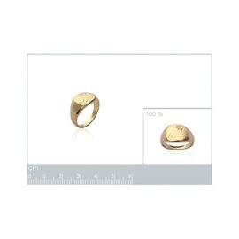 ISADY-Amazing-Gold-Bague-Mixte-Homme-Femme-Chevalire-Plaqu-Or-750000-18-carats-0-1