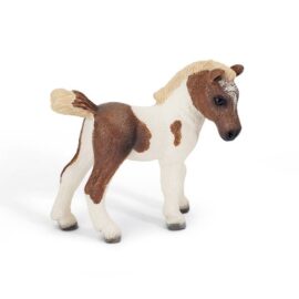 Schleich – 13687 – Figurine – Poulain Falabella Schleich – 13687 – Figurine – Poulain Falabella 3