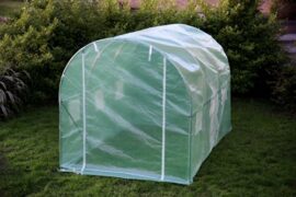 Kenley 3 x 2 m Jardin Serre Tunelle Polytunnel – Insectes Oiseaux Protection – Fort Acier Inoxydable 25 mm Kenley 3 x 2 m Jardin Serre Tunelle Polytunnel – Insectes Oiseaux Protection – Fort Acier Inoxydable 25 mm 4