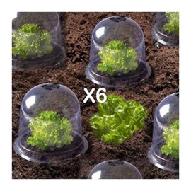 ProBache – Cloche à salades X6 serre de protection pour plants ProBache – Cloche à salades X6 serre de protection pour plants