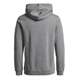 Jack-Jones-Jcoalbert-Sweat-Hood-Pull-Homme-0-0