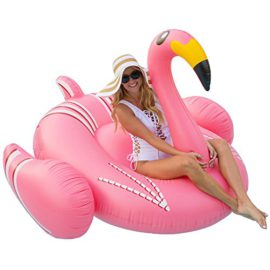 Rancross-Bouée Gonflable pour Fête de Piscine et pour Plage et Piscine Sans pompe gonflage Rancross-Bouée Gonflable pour Fête de Piscine et pour Plage et Piscine Sans pompe gonflage 2