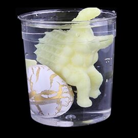 3pcs Magique Oeuf Dinosaures Eclosion à Tremper d’Eau Enfants Jouet Cadeau -Styles Variés 3pcs Magique Oeuf Dinosaures Eclosion à Tremper d’Eau Enfants Jouet Cadeau -Styles Variés 6