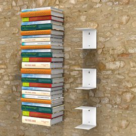 es–lLtagre–livres-invisible-grand-Lot-de-3-tagrivres-blancs–100-cm-livres-ou-90-kg-livres-0-1