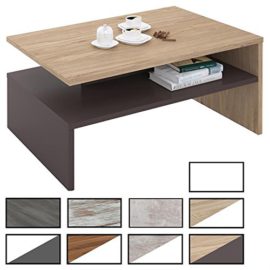 IDIMEX-Table-Basse-de-Salon-Adelaide-rectangulaire-avec-Rangement-mlamin-0