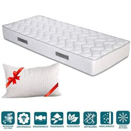 EvergreenWeb – Matelas Mousse Haut 20 cm avec Paire de Coussins de mémoire Gratuit, orthopédique, revêtement Effet de Massage, Tissu Respirant et Hypoallergenic EvergreenWeb – Matelas Mousse Haut 20 cm avec Paire de Coussins de mémoire Gratuit, orthopédique, revêtement Effet de Massage, Tissu Respirant et Hypoallergenic 2