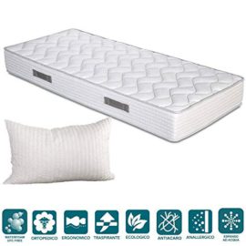 EvergreenWeb – Matelas Mousse Haut 20 cm avec Paire de Coussins de mémoire Gratuit, orthopédique, revêtement Effet de Massage, Tissu Respirant et Hypoallergenic EvergreenWeb – Matelas Mousse Haut 20 cm avec Paire de Coussins de mémoire Gratuit, orthopédique, revêtement Effet de Massage, Tissu Respirant et Hypoallergenic 6