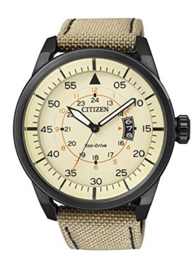 Citizen-Aviator-Eco-Drive-aw1365--19P--Montre-de-Poignet-pour-Homme-0