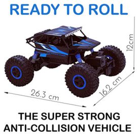 Top-Race-Tr-130-24-Ghz-Batteries-Tlcommande-Rock-CrawlerMonster-Truck-4-WDOff-Road-Vhicule-Jouet-Choisissez-Votre-Couleur-0-1