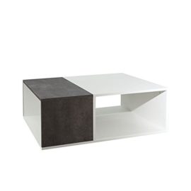 Symbiosis Contemporain Table Basse Bivolume Symbiosis Contemporain Table Basse Bivolume 2