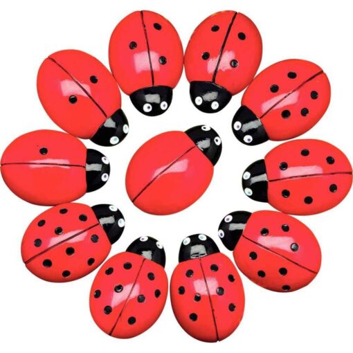 Set de 22 coccinelles à compter