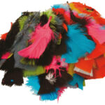 Image Plume couleur assorti - Sachet de 25g