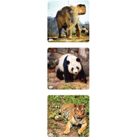 Image Puzzles progressifs "Les animaux sauvages" - Lot de 3