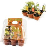 Image Serre de 6 pots : mon premier jardin