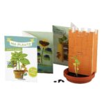 Image Coffret le miracle de la germination