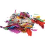 Image Plumes faisan assorties - Sachet de 10 grammes