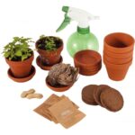 Set de 5 plantes extraordinaires Set de 5 plantes extraordinaires