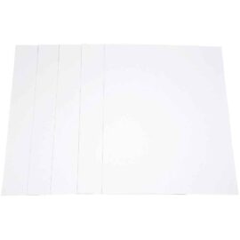 Image Feuilles carton 50x65 blanc 1005g - Paquet de 5