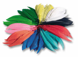 Image Plume indien assorti - Sachet de 100g