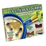 Image Jeu "La cité des fourmis"