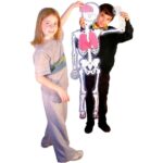 Squelette articulé – 120 cm Squelette articulé – 120 cm