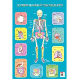 Image Poster pédagogique en PVC - 76x52 cm - Le squelette