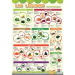 Image Poster pédagogique en PVC - 76x52 cm - Les légumes