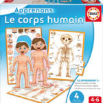 Image Le corps humain - Collection Apprenons