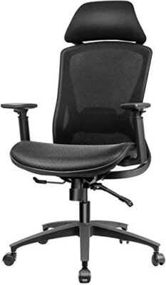 BYRORAS Chaise de Bureau, Fauteuil de Bureau Ergonomique et Appui-tête Siège en Maille Soutien Lombaire Ajustable avec Accoudoirs Réglable et Inclinaison du Dossier(Noir)