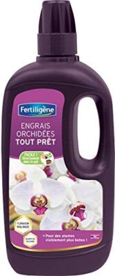 Fertiligène Engrais Orchidées Tout Prêt, 1L