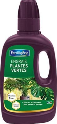 Fertiligène Engrais Plantes Vertes, 400 ML