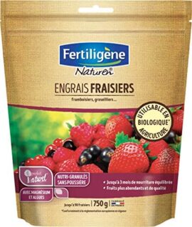 Naturen Engrais Fraisiers et Arbustes A Petits Fruits 750gr