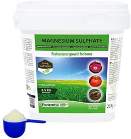 Nortembio Agro Sulfate de Magnésium Naturel 2,5 Kg. Engrais d'Utilisation Universelle. Améliore la Croissance des Cultures, des Jardins, des Plantes d’Intérieur et d’Extérieur.