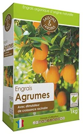 R'Garden | Engrais Organique Agrumes | Engrais Ecologique | Fertilisant Naturel | Nourrit en Profondeur | Facile d’Utilisation | 1KG