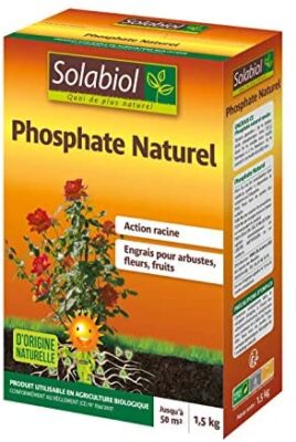 Solabiol SOPHO15G10 Phosphate Naturel 1,5 Kg,