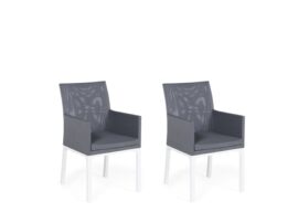 lot-de-2-chaises-grises