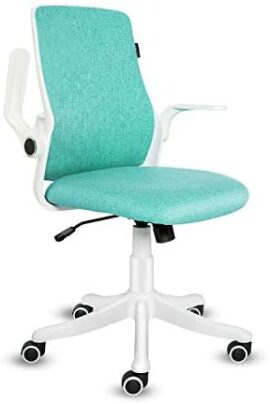 Fullwatt Fauteuil de Bureau Ergonomique avec accoudoirs à Dossier Central pour la Maison, Le Bureau, la Salle d’étude (Vert) Fullwatt Fauteuil de Bureau Ergonomique avec accoudoirs à Dossier Central pour la Maison, Le Bureau, la Salle d’étude (Vert)