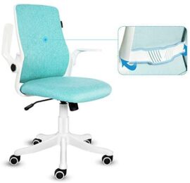 YU YUSING Chaise de Bureau Fauteuil Siège Ergonomique avec Accoudoirs Pliables, Dossier Inclinable, Support Lombaire, Pivotant à 360 °,Hauteur Réglable, Vert YU YUSING Chaise de Bureau Fauteuil Siège Ergonomique avec Accoudoirs Pliables, Dossier Inclinable, Support Lombaire, Pivotant à 360 °,Hauteur Réglable, Vert