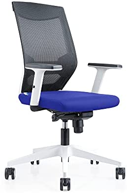 Rocada | Chaise de Bureau Ergonomique, Confortable | Fauteuil de Pivotant en Maille Avoir Soutien Lombaire et Accoudoir Réglable | Bleu