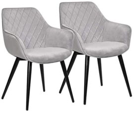 WOLTU 2 Chaises de Salon Chaises de Salle à Manger matière en Velours et métal,BH153gr-2 Gris WOLTU 2 Chaises de Salon Chaises de Salle à Manger matière en Velours et métal,BH153gr-2 Gris