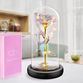 Gomyhom Rose Eternelle, Fleurs Artificielles avec LED, Belle et La Bête Rose, idée Cadeau Femme, Cadeau fête des Grand Mere, Cadeaux pour Maman, Adapté Anniversaire Cadeau (Galaxie)