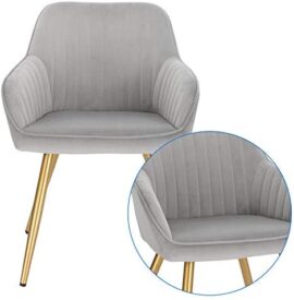 Lestarain Chaise de Salle à Manger(1 pièce) avec Dossier et Accoudoir,Chaise de Cuisine Moderne Fauteuil Scandinave Assise en Velours et Pieds en Métal,Gris Clair Lestarain Chaise de Salle à Manger(1 pièce) avec Dossier et Accoudoir,Chaise de Cuisine Moderne Fauteuil Scandinave Assise en Velours et Pieds en Métal,Gris Clair 4