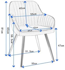 Lestarain Chaise de Salle à Manger(1 pièce) avec Dossier et Accoudoir,Chaise de Cuisine Moderne Fauteuil Scandinave Assise en Velours et Pieds en Métal,Gris Clair Lestarain Chaise de Salle à Manger(1 pièce) avec Dossier et Accoudoir,Chaise de Cuisine Moderne Fauteuil Scandinave Assise en Velours et Pieds en Métal,Gris Clair 3