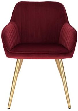 Lestarain Chaise de Salle à Manger(1 pièce) avec Dossier et Accoudoir,Chaise de Cuisine Moderne Fauteuil Scandinave Assise en Velours et Pieds en Métal,Bordeaux Lestarain Chaise de Salle à Manger(1 pièce) avec Dossier et Accoudoir,Chaise de Cuisine Moderne Fauteuil Scandinave Assise en Velours et Pieds en Métal,Bordeaux 7