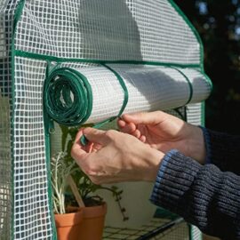 BRAMBLE Serre de Jardin/Balcon avec 4 Étagères Réglables & Bâche Robuste – Portable, Solide & Facile à Assembler – 160x69x49cm BRAMBLE Serre de Jardin/Balcon avec 4 Étagères Réglables & Bâche Robuste – Portable, Solide & Facile à Assembler – 160x69x49cm 2